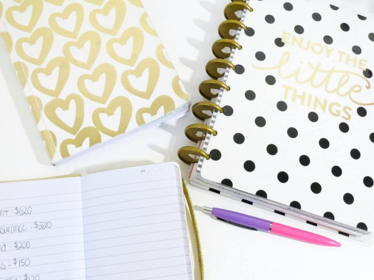 Monthly Budget Template for Single Person