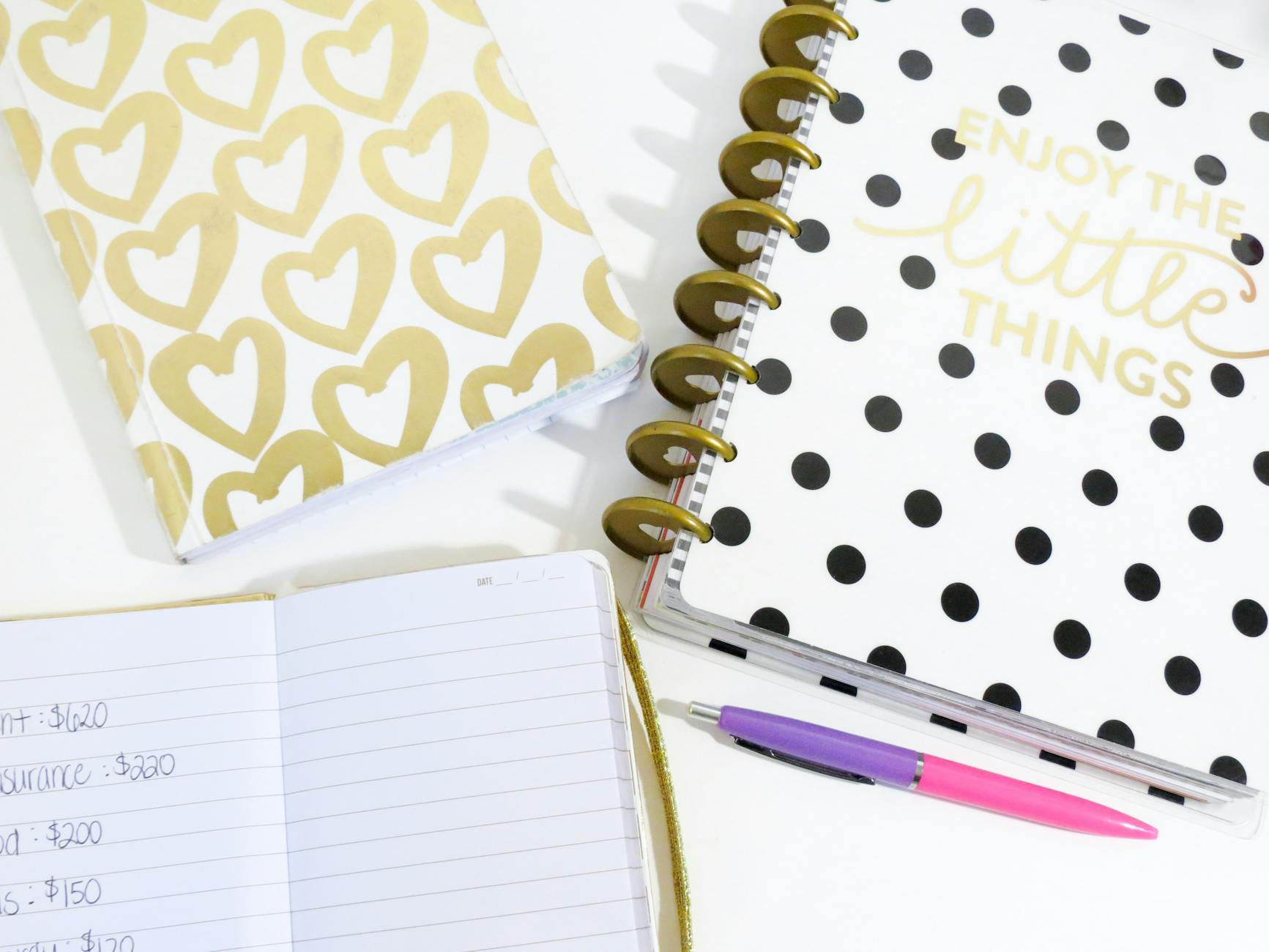 Monthly Budget Template for Single Person